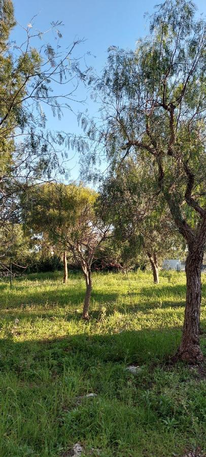 Villa Raffaella Lecce Bagian luar foto