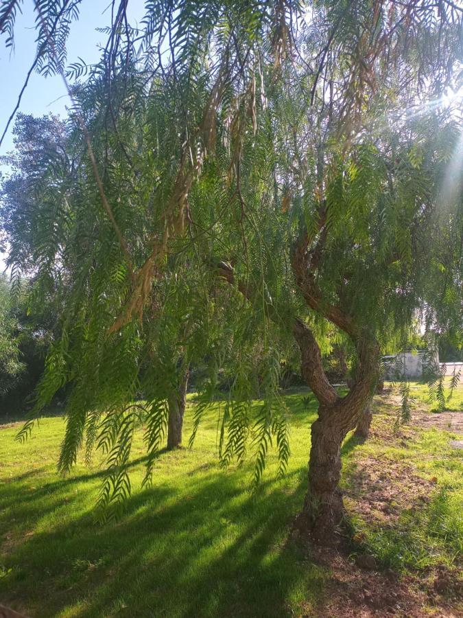 Villa Raffaella Lecce Bagian luar foto